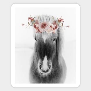 Icelandic Horse Portrait with Flowers, black and white Sticker
